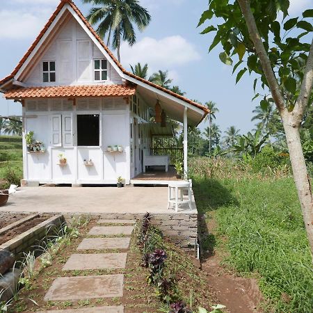 Villa Pondok Isoke à Banyuwangi  Extérieur photo