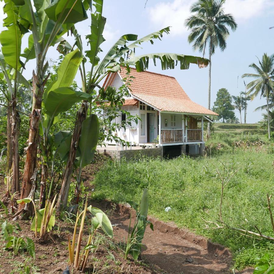 Villa Pondok Isoke à Banyuwangi  Extérieur photo