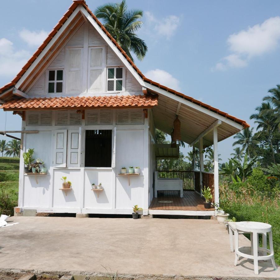 Villa Pondok Isoke à Banyuwangi  Extérieur photo